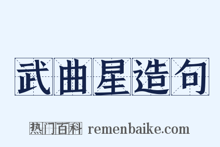 武曲星造句是什么意思的图片